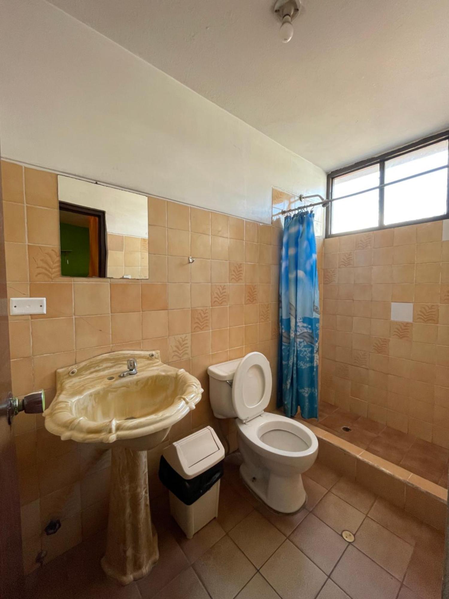 Big Mountain Hostel ワラス エクステリア 写真